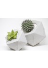 vaso de concreto icosaedro