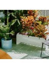 jardineira-curio-25-ambientado-branco-zoom