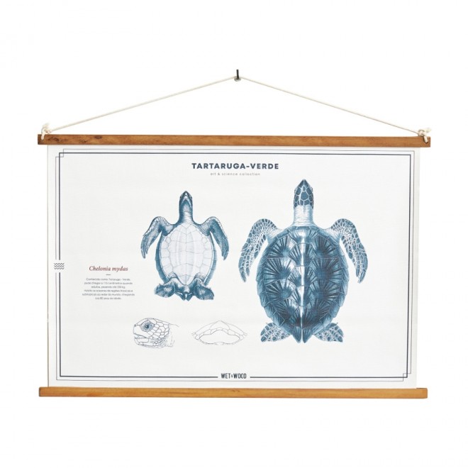 poster-tartaruga