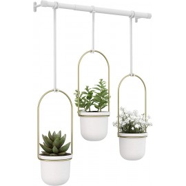 Suporte Botânico Triflora Branco e Dourado