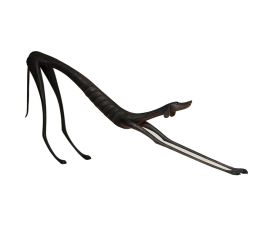 Escultura Cachorro Com Preguiça