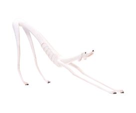 Escultura Cachorro Com Preguiça