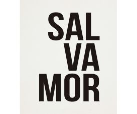Pôster Salvamor