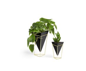 Dupla de Vasos de Mesa Trigg Preto