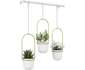 Suporte Botânico Triflora Branco e Dourado