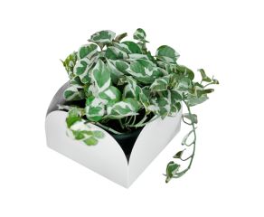 Cachepô Pendurável Curió Cuia Branco