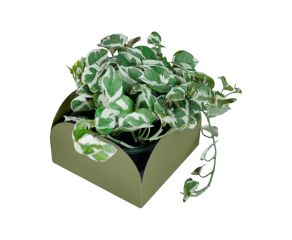 Cachepô Pendurável Curió Cuia Verde