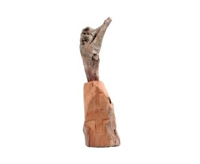 escultura-bicudo-06