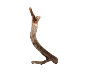 escultura-cisne-02