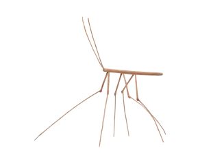 escultura-bicho-pau-n1