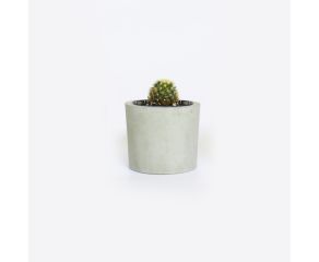 vaso de concreto cinza