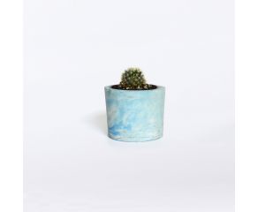 vaso de concreto colorido
