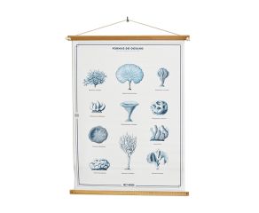 poster-corais 