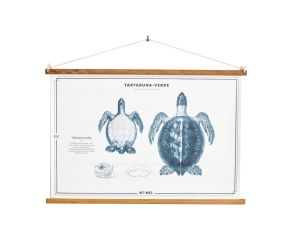poster-tartaruga