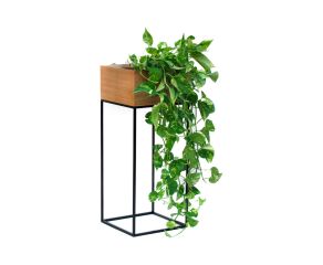 suporte-para-plantas-oasis-75cm