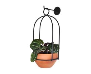 suporte-botanico-gaiola