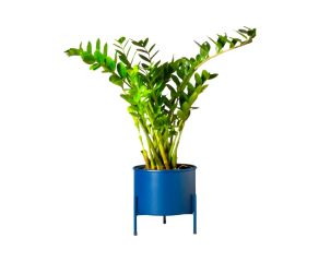Suporte de Plantas com Vaso Slim Humaitá