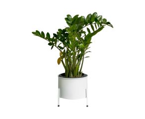 Suporte de Plantas com Vaso Slim Humaitá