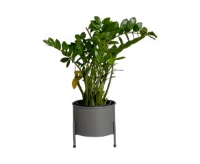 Suporte de Plantas com Vaso Slim Humaitá