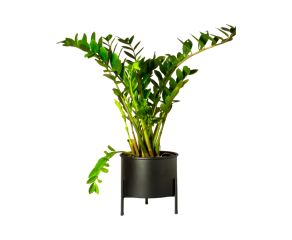 Suporte de Plantas com Vaso Slim Humaitá