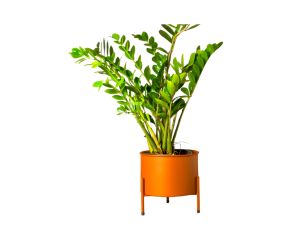 Suporte de Plantas com Vaso Slim Humaitá