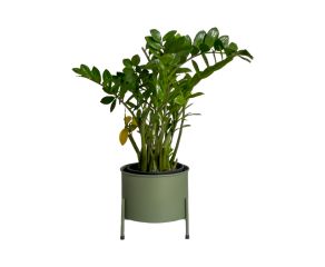 Suporte de Plantas com Vaso Slim Humaitá