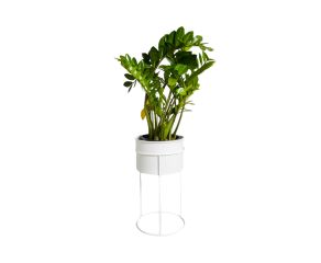 Suporte de Plantas com Vaso Humaitá