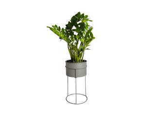 Suporte de Plantas com Vaso Humaitá
