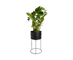 Suporte de Plantas com Vaso Humaitá