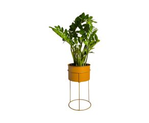 Suporte de Plantas com Vaso Humaitá