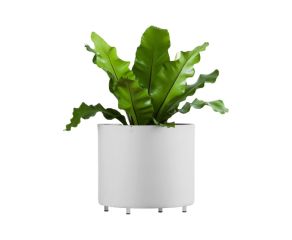 vaso-aluminio-reto-33