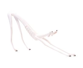 Escultura Cachorro Com Preguiça