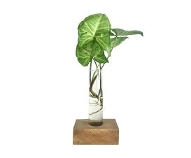 Vaso Tubo