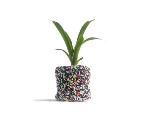 Cachepot Zoe - Colorido