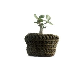 Cachepot Zoe - Verde