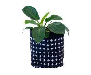 Cesto e Cachepot Dots
