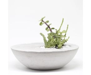 vaso concreto com furo descentralizado