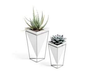 Dupla de Vasos de Mesa Trigg Branco e Níquel