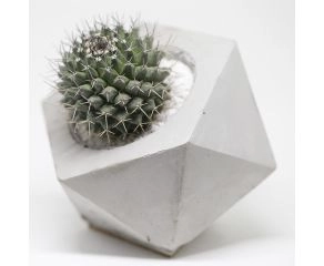 vaso geométrico em concreto