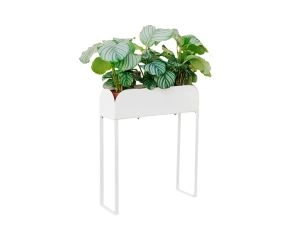 jardineira-curio-18-branco
