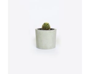 vaso de concreto cinza