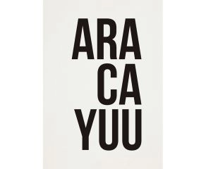 poster-aracayuu-preto