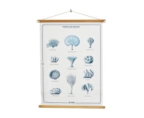 poster-corais 