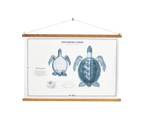 poster-tartaruga
