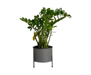 Suporte de Plantas com Vaso Slim Humaitá