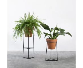 Suporte Botânico Hera