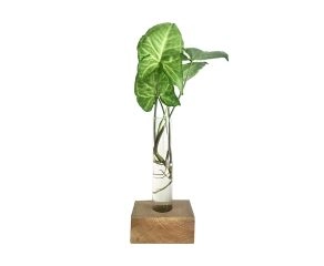 Vaso Tubo